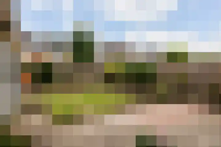 Vincent van Goghlaan 26 Woerden thumbnail 11