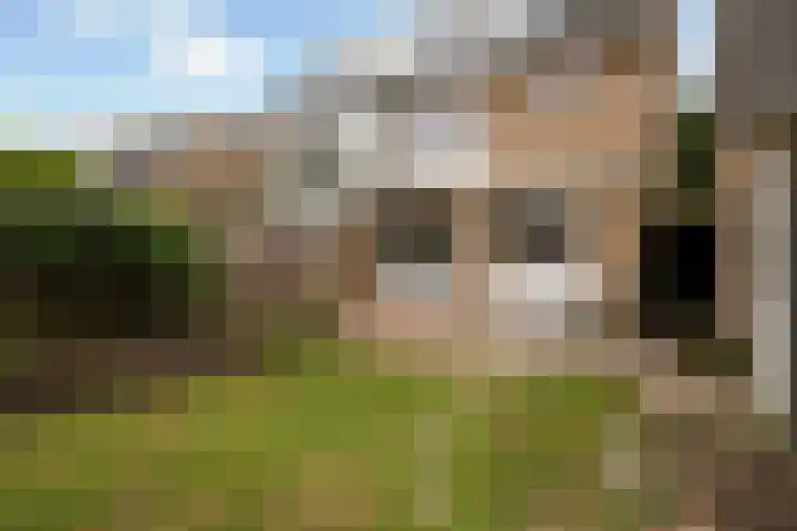Vincent van Goghlaan 26 Woerden thumbnail 15