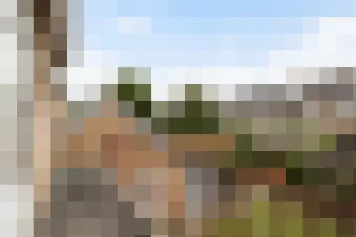 Vincent van Goghlaan 26 Woerden thumbnail 21