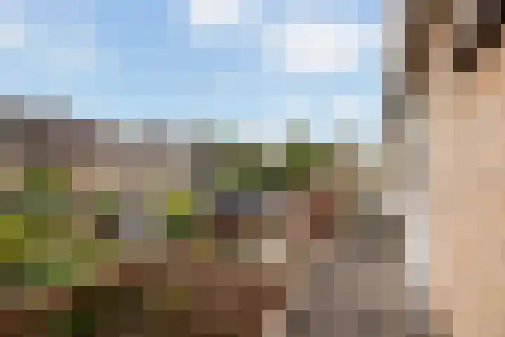 Vincent van Goghlaan 26 Woerden thumbnail 22