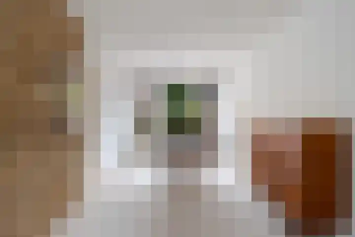 Vincent van Goghlaan 26 Woerden thumbnail 4