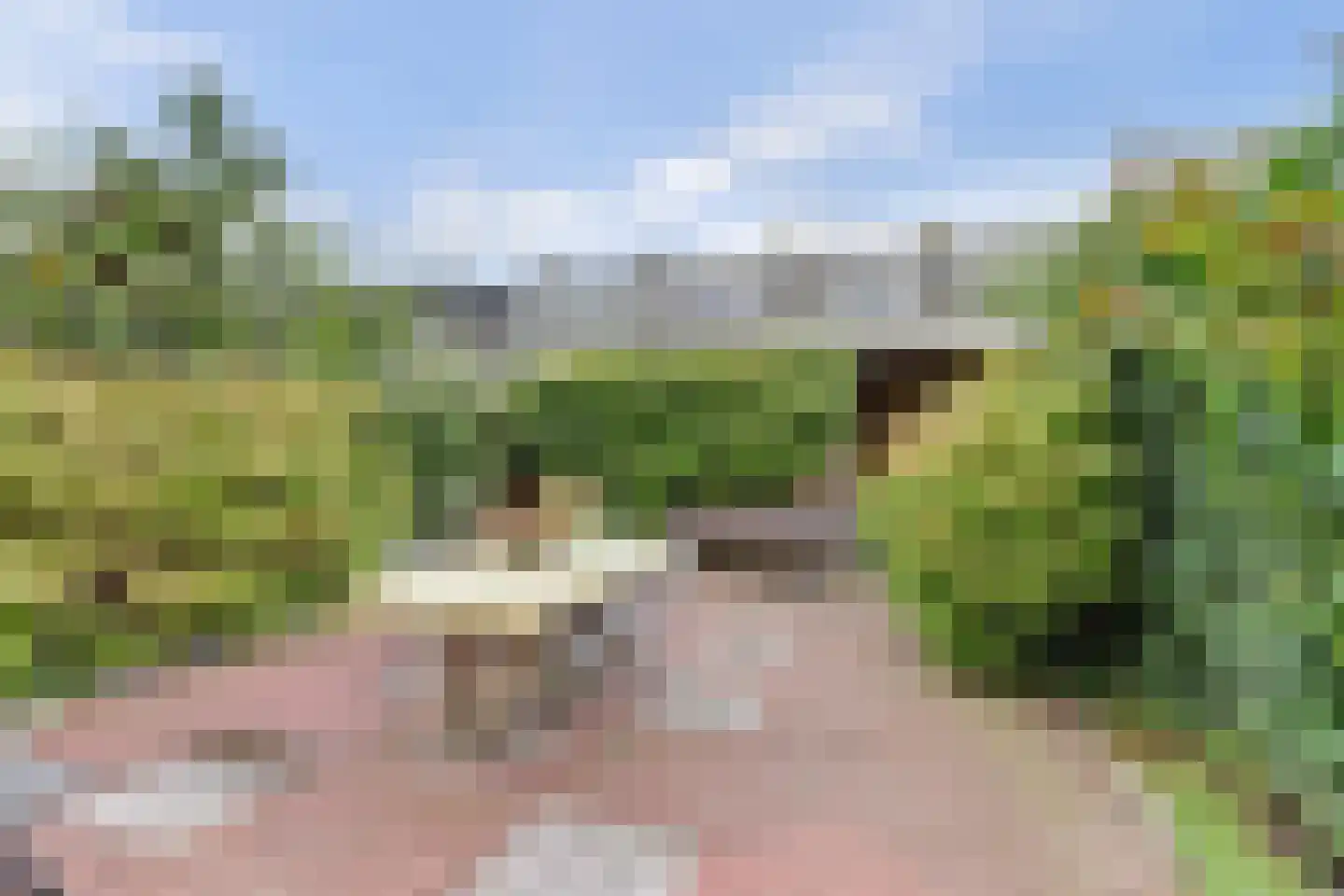 Vincent van Goghlaan 28 Oegstgeest thumbnail 40