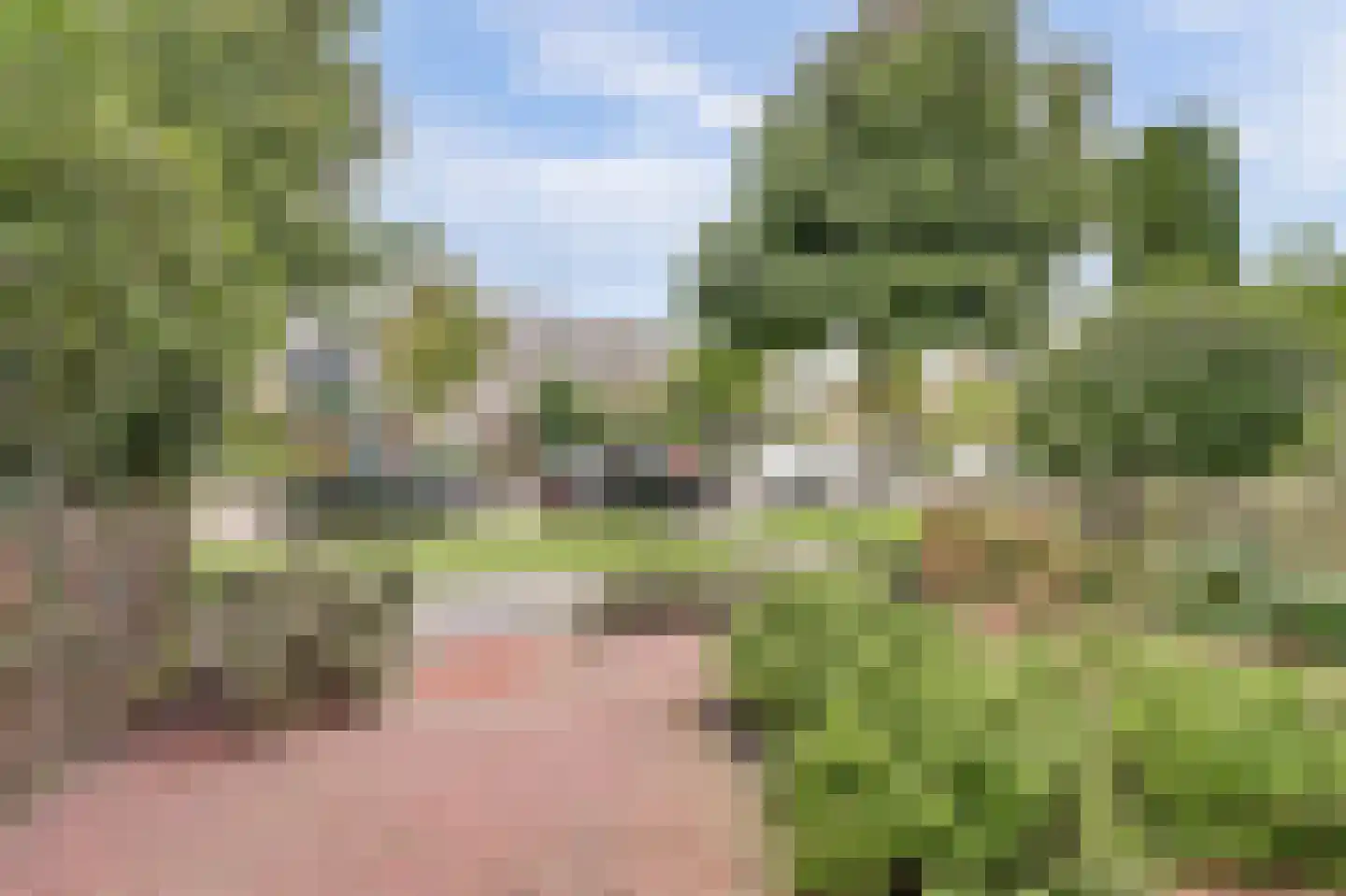 Vincent van Goghlaan 28 Oegstgeest thumbnail 5