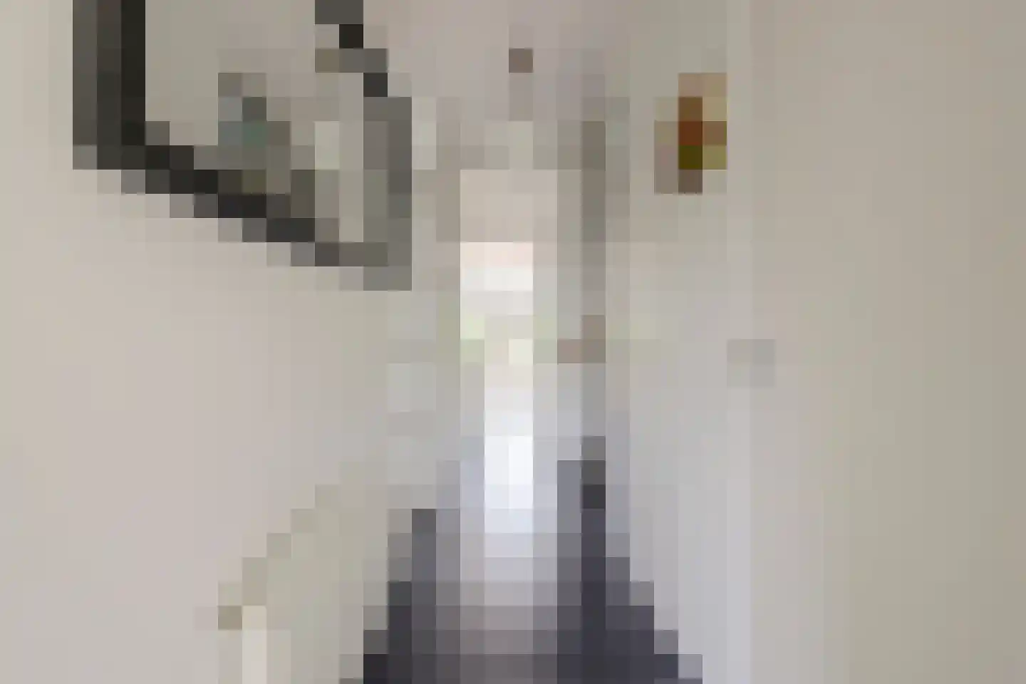 Vincent van Goghlaan 28 Oegstgeest thumbnail 8