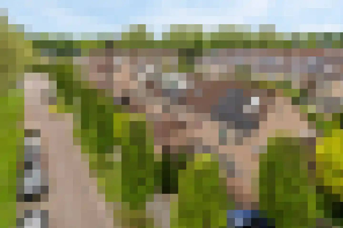 Vincent van Goghlaan 33 Vleuten thumbnail 26