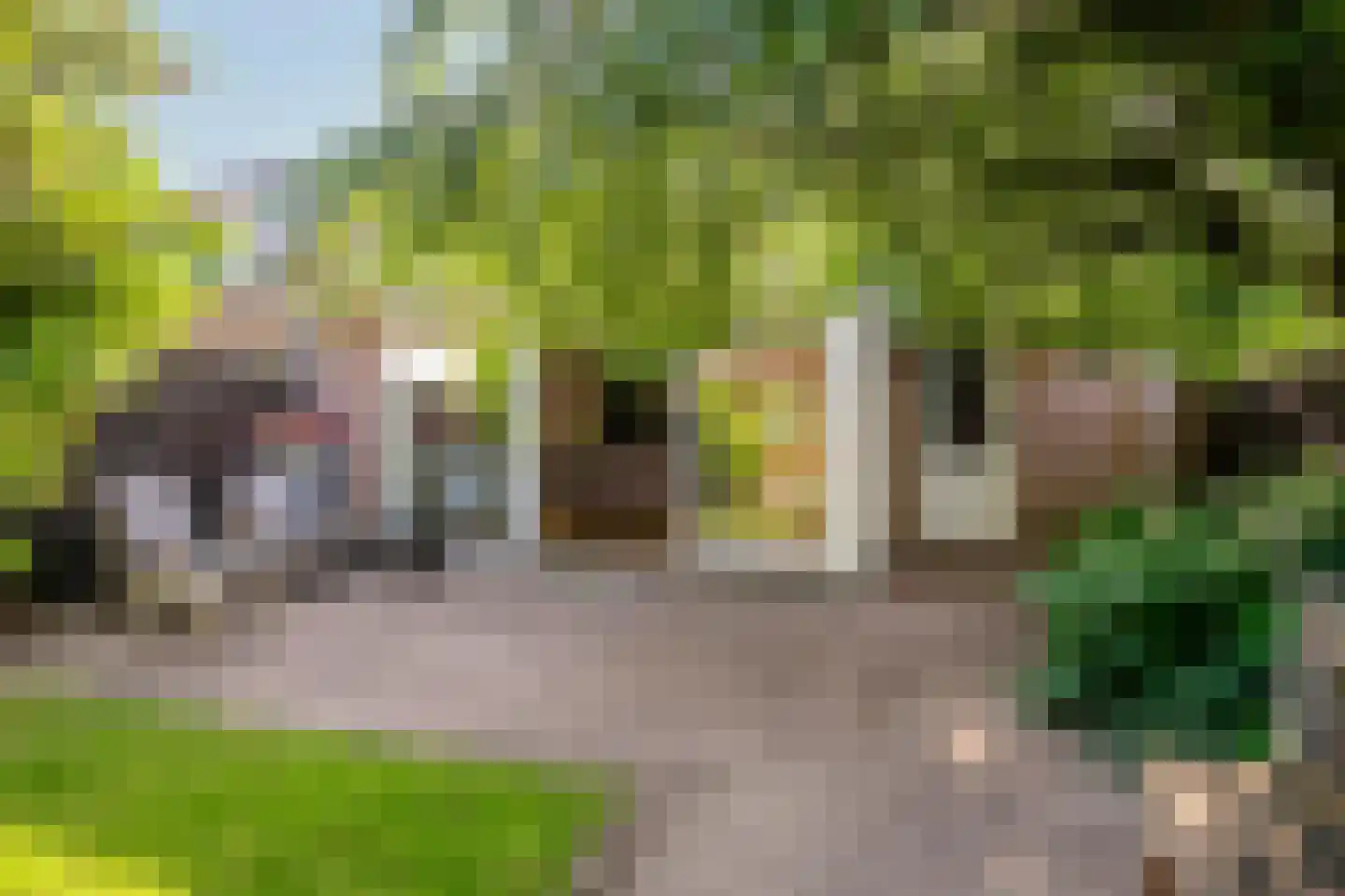 Vincent van Goghlaan 37 Vleuten thumbnail 27