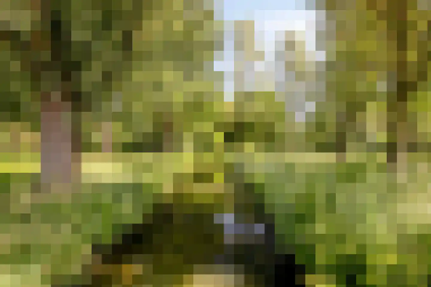 Vincent van Goghlaan 37 Vleuten thumbnail 40