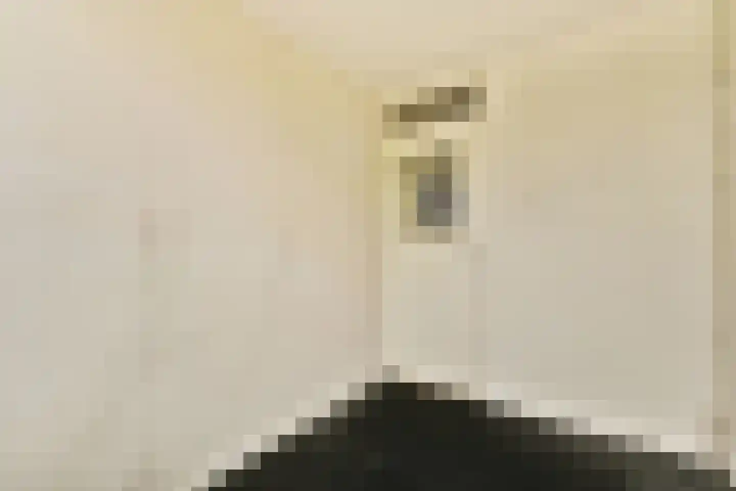 Vincent van Goghlaan 38 Oegstgeest thumbnail 14
