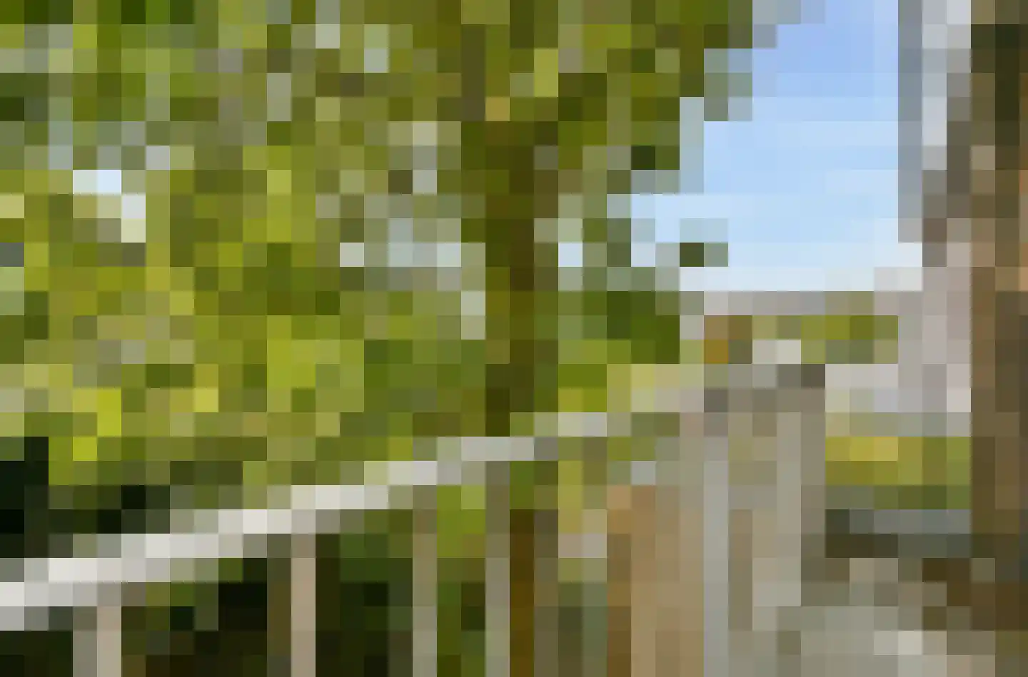 Vincent van Goghlaan 38 Oegstgeest thumbnail 23