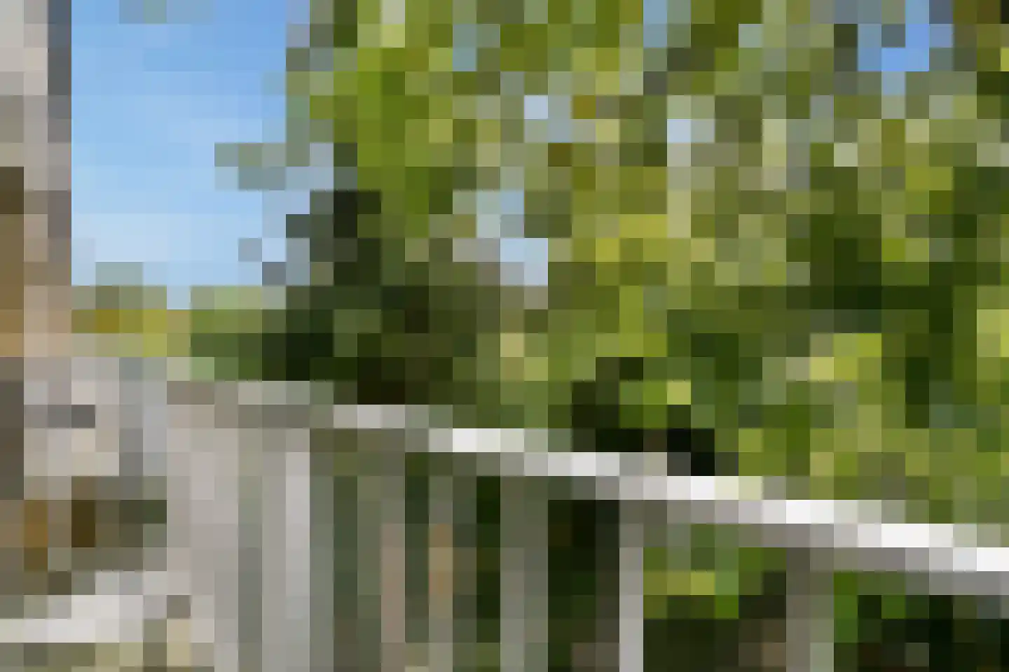 Vincent van Goghlaan 38 Oegstgeest thumbnail 24