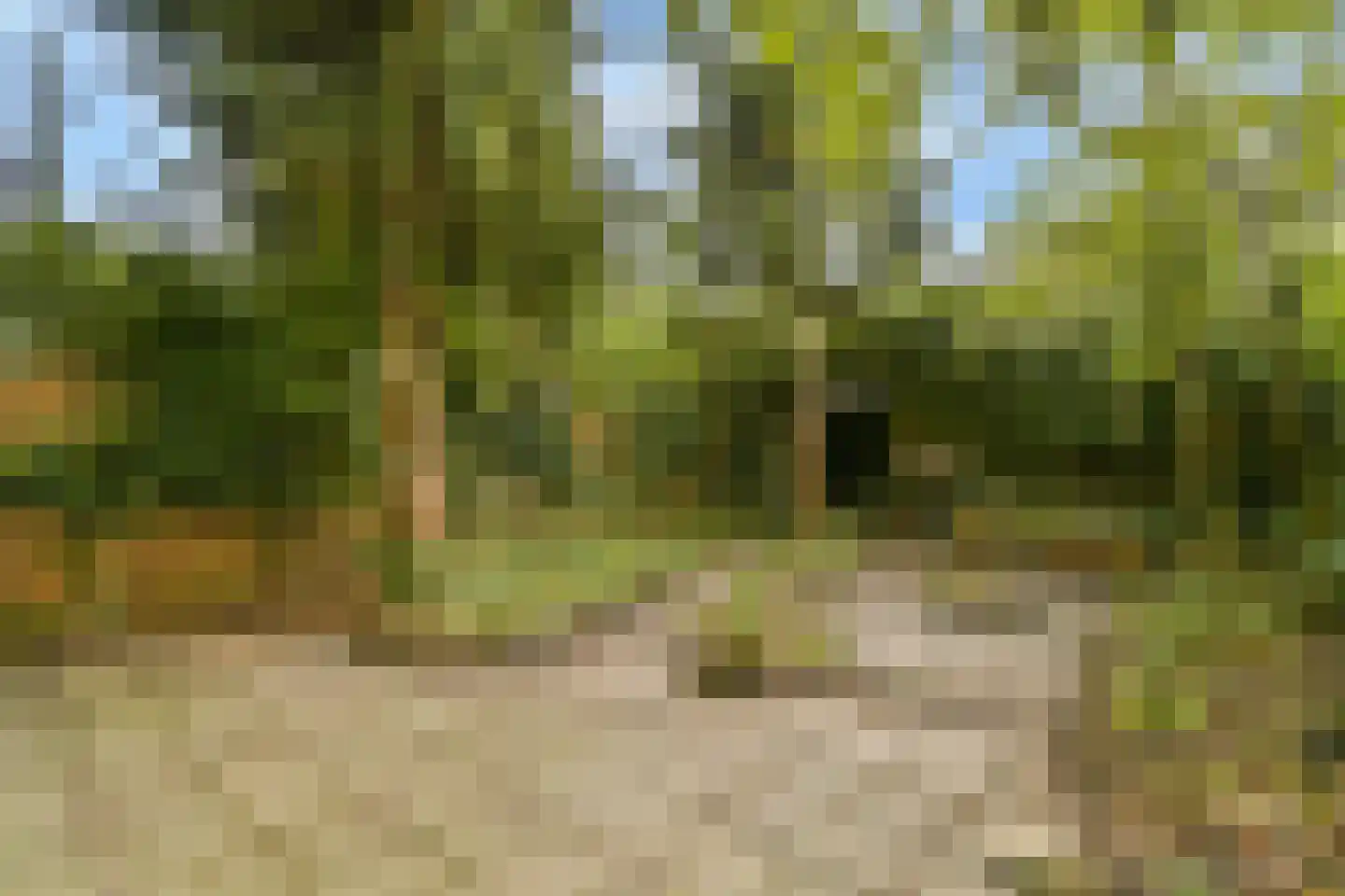 Vincent van Goghlaan 38 Oegstgeest thumbnail 30