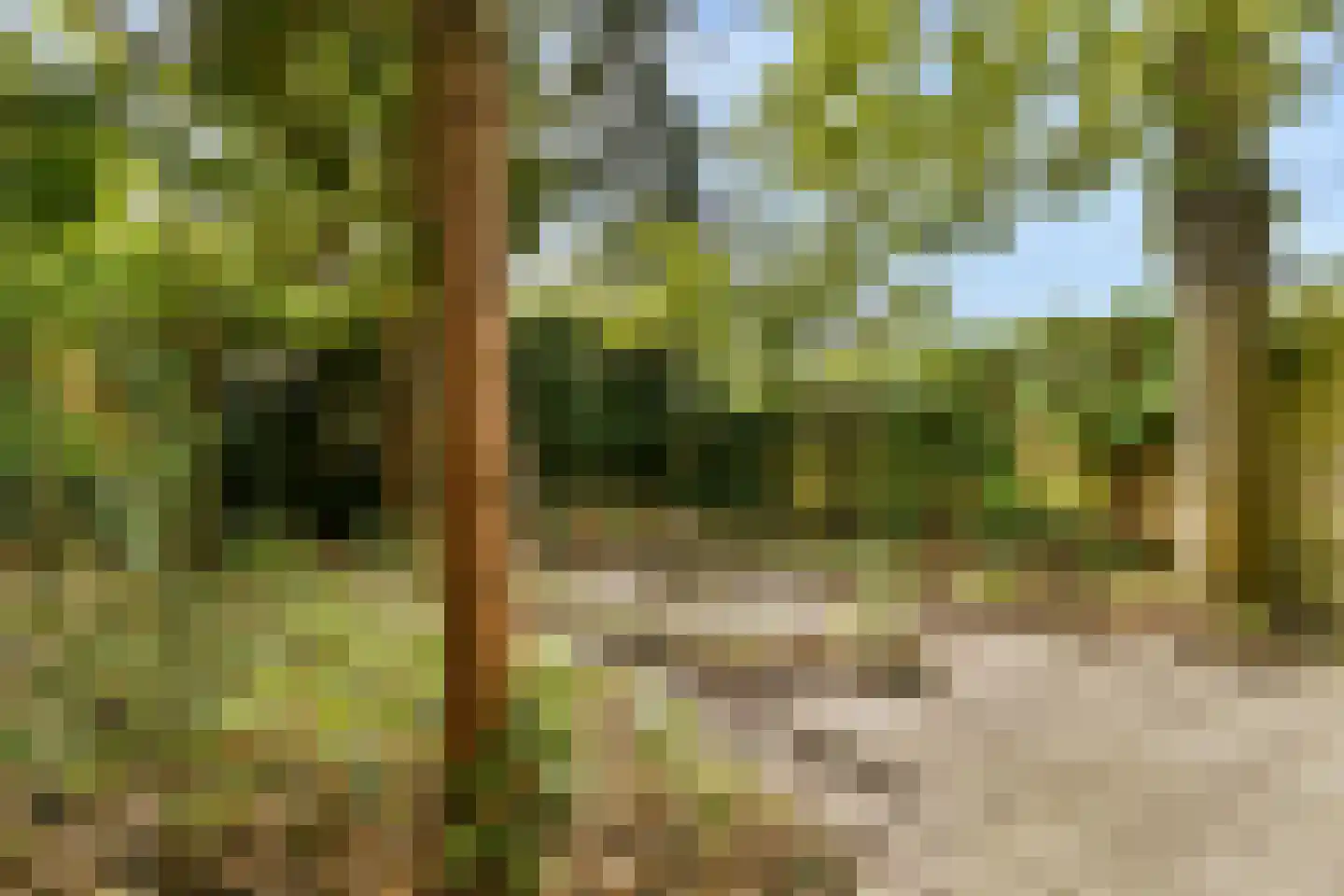 Vincent van Goghlaan 38 Oegstgeest thumbnail 31