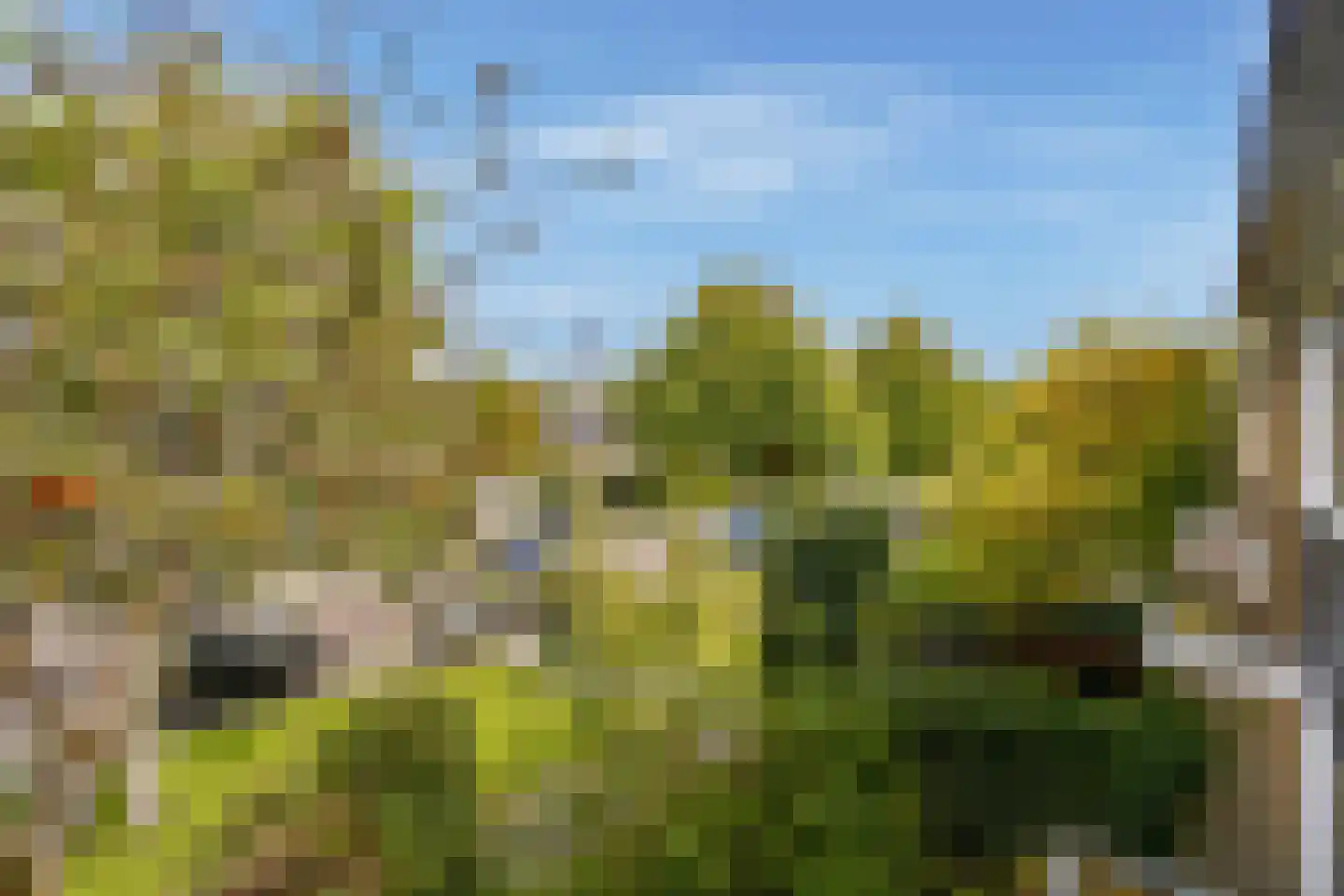 Vincent van Goghlaan 38 Oegstgeest thumbnail 32
