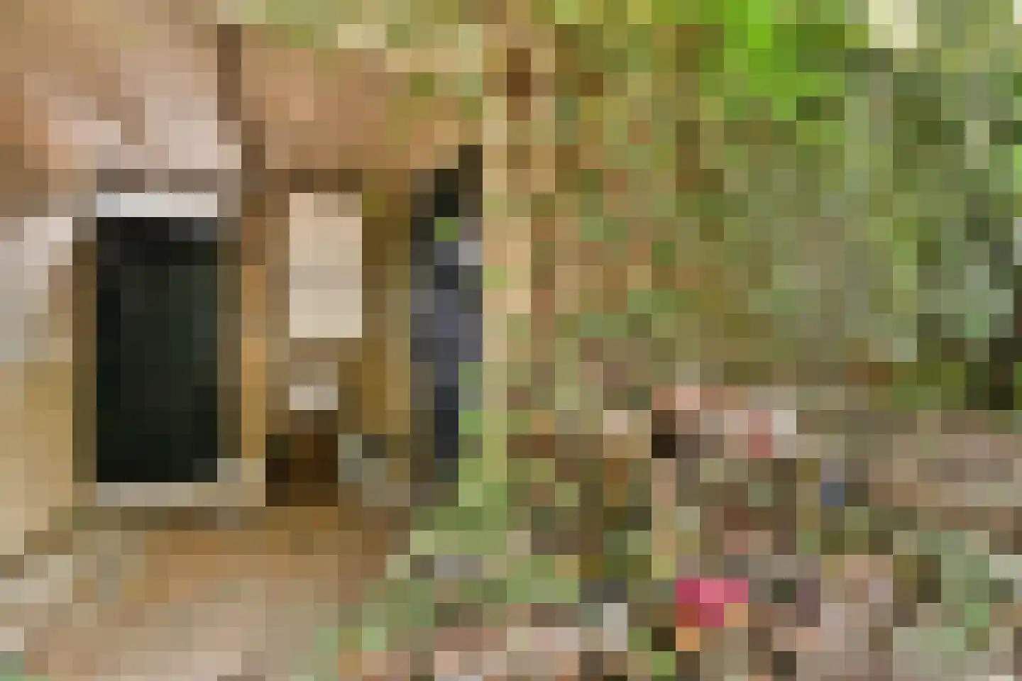 Vincent van Goghlaan 38 Oegstgeest thumbnail 35
