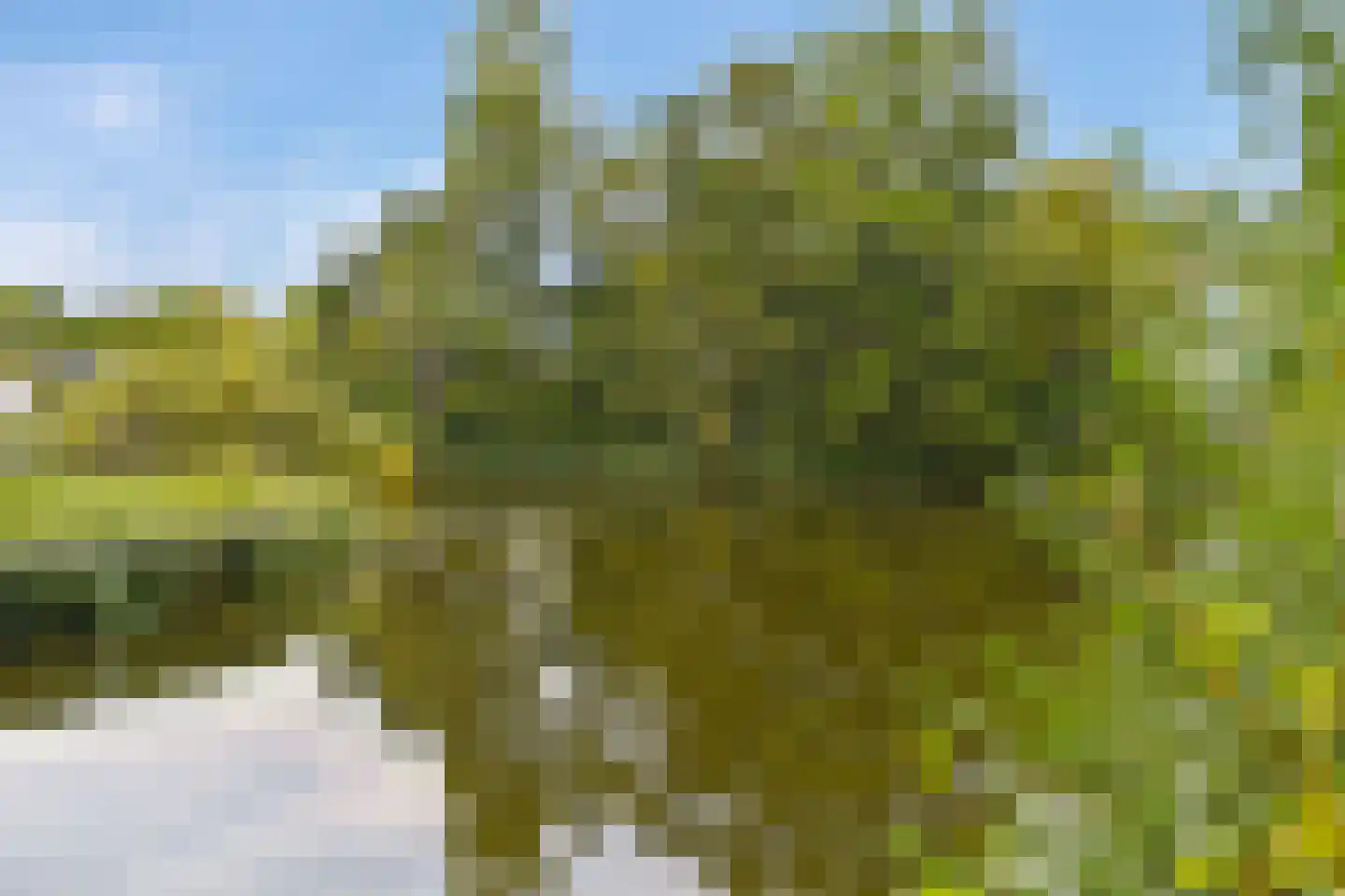 Vincent van Goghlaan 38 Oegstgeest thumbnail 37