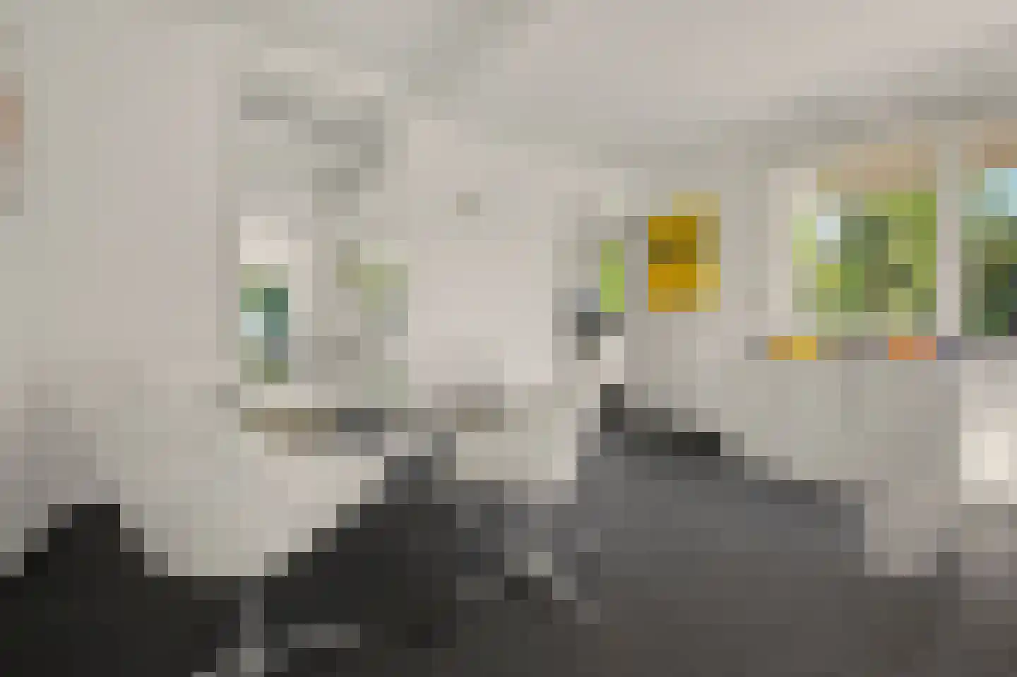 Vincent van Goghlaan 38 Waalwijk thumbnail 12