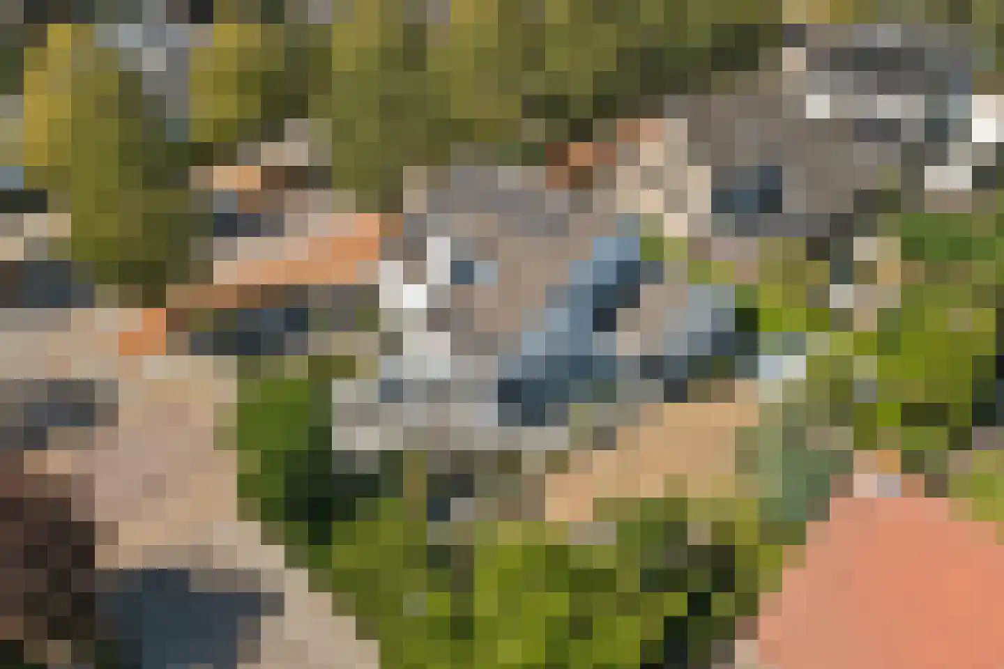 Vincent van Goghlaan 38 Waalwijk thumbnail 48