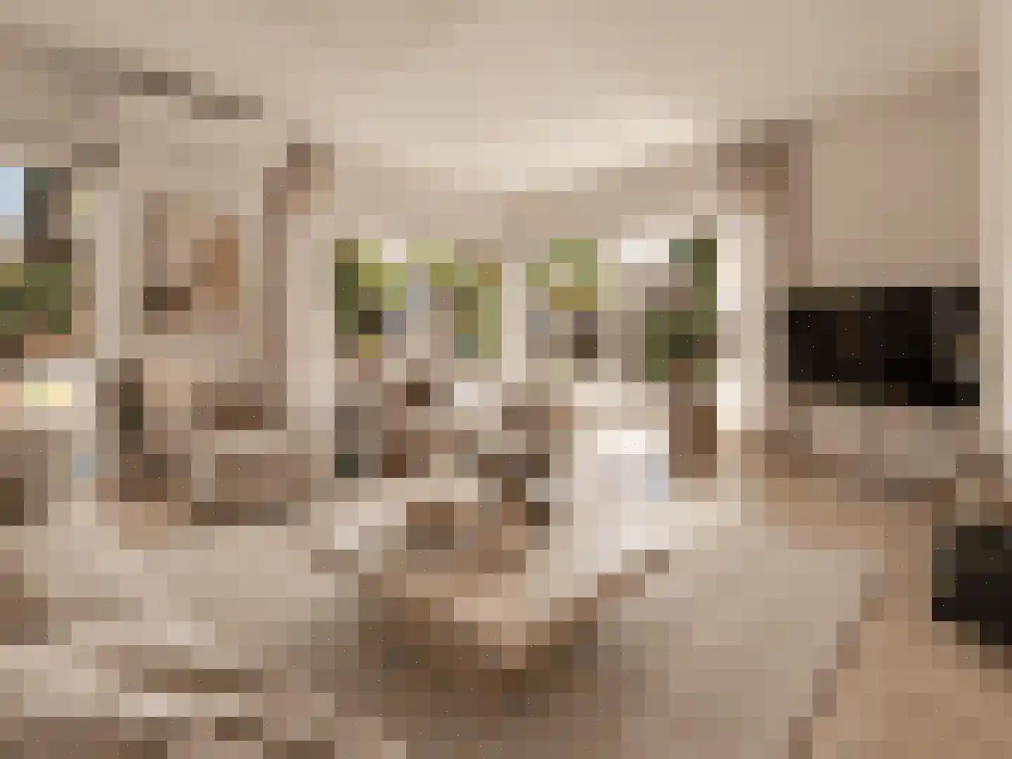 Vincent van Goghlaan 38 Waalwijk thumbnail 5