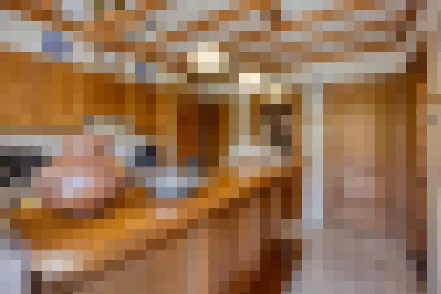 Vincent van Goghlaan 4 Beek en Donk thumbnail 15