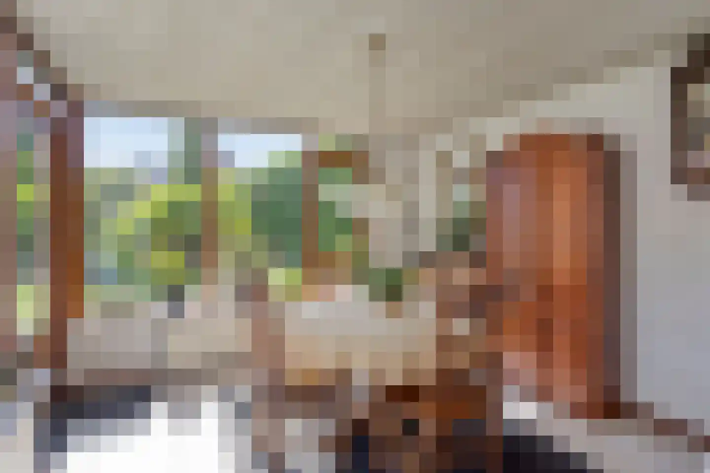 Vincent van Goghlaan 4 Beek en Donk thumbnail 19