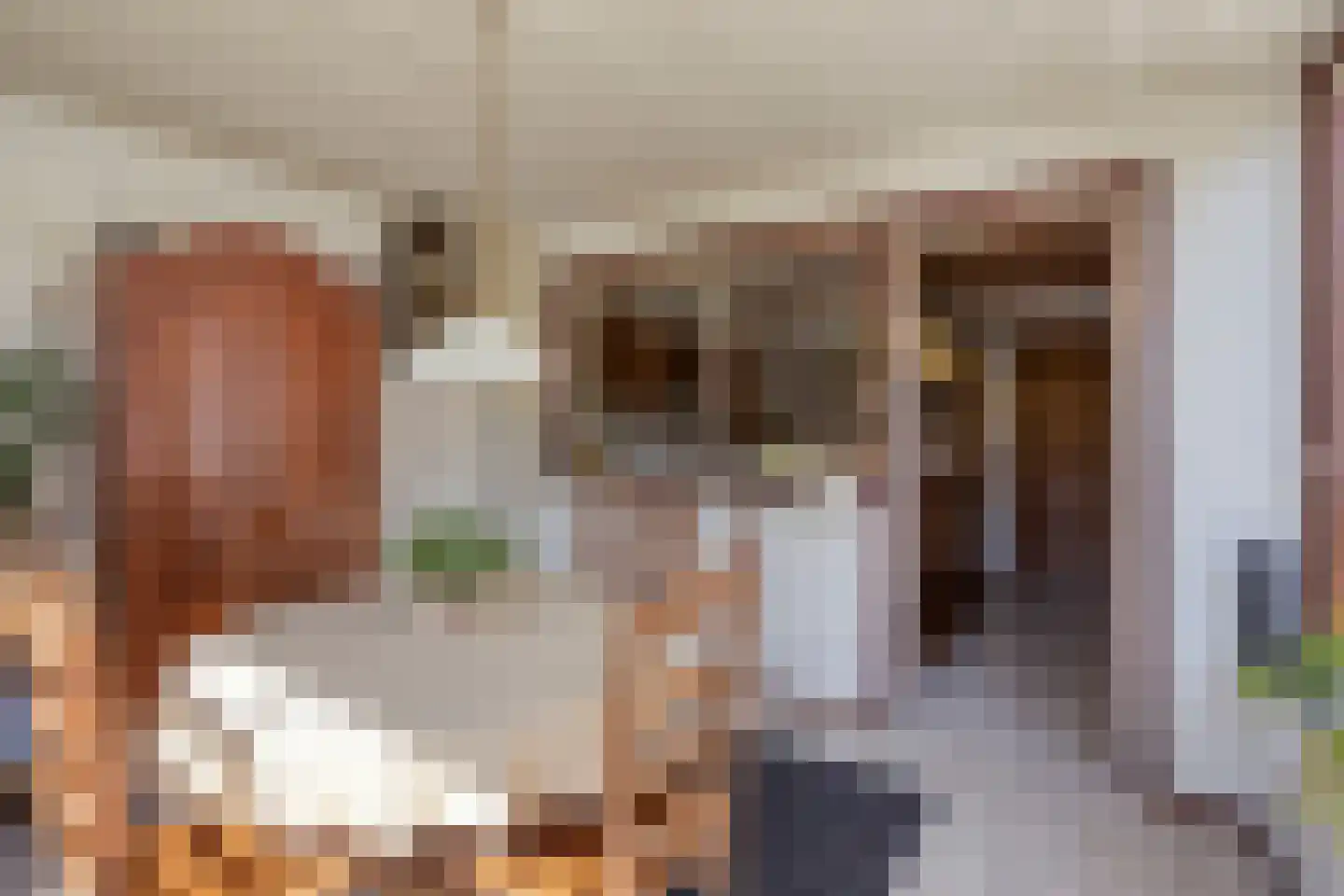 Vincent van Goghlaan 4 Beek en Donk thumbnail 20