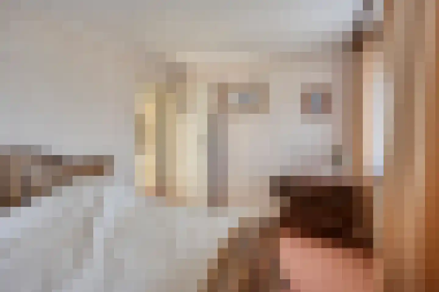 Vincent van Goghlaan 4 Beek en Donk thumbnail 27