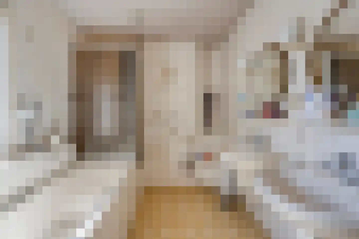 Vincent van Goghlaan 4 Beek en Donk thumbnail 32