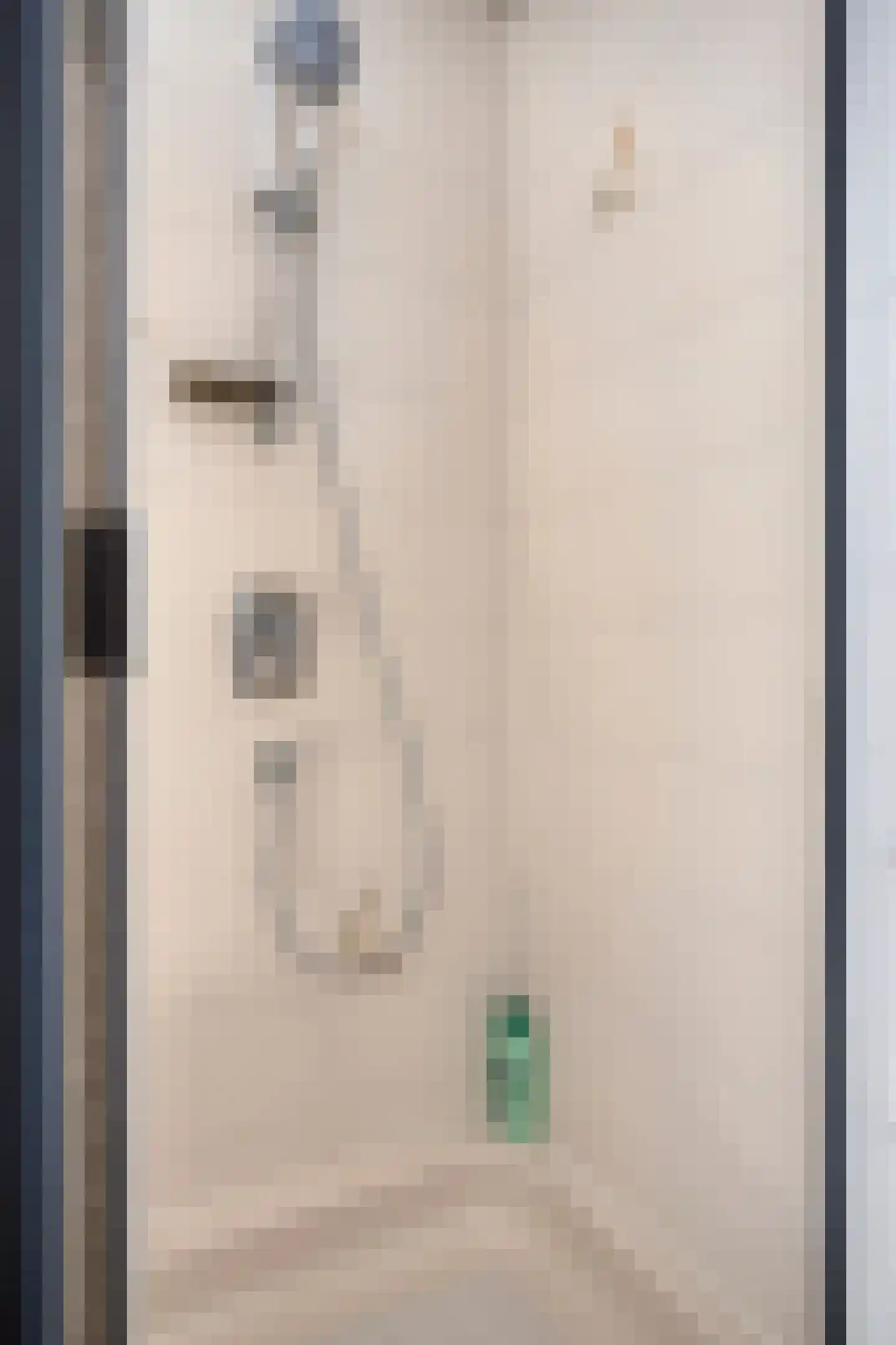 Vincent van Goghlaan 4 Beek en Donk thumbnail 33