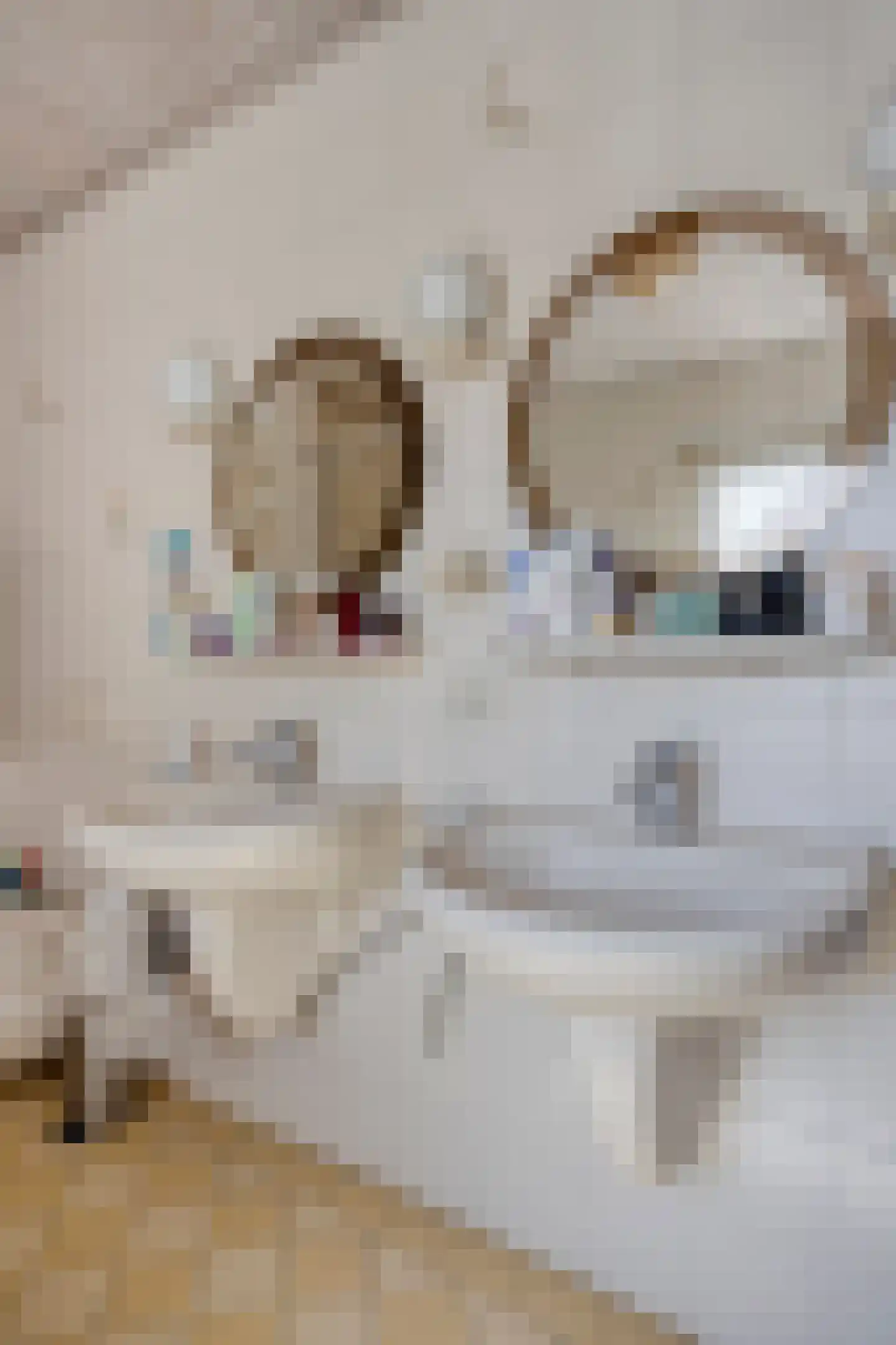 Vincent van Goghlaan 4 Beek en Donk thumbnail 34