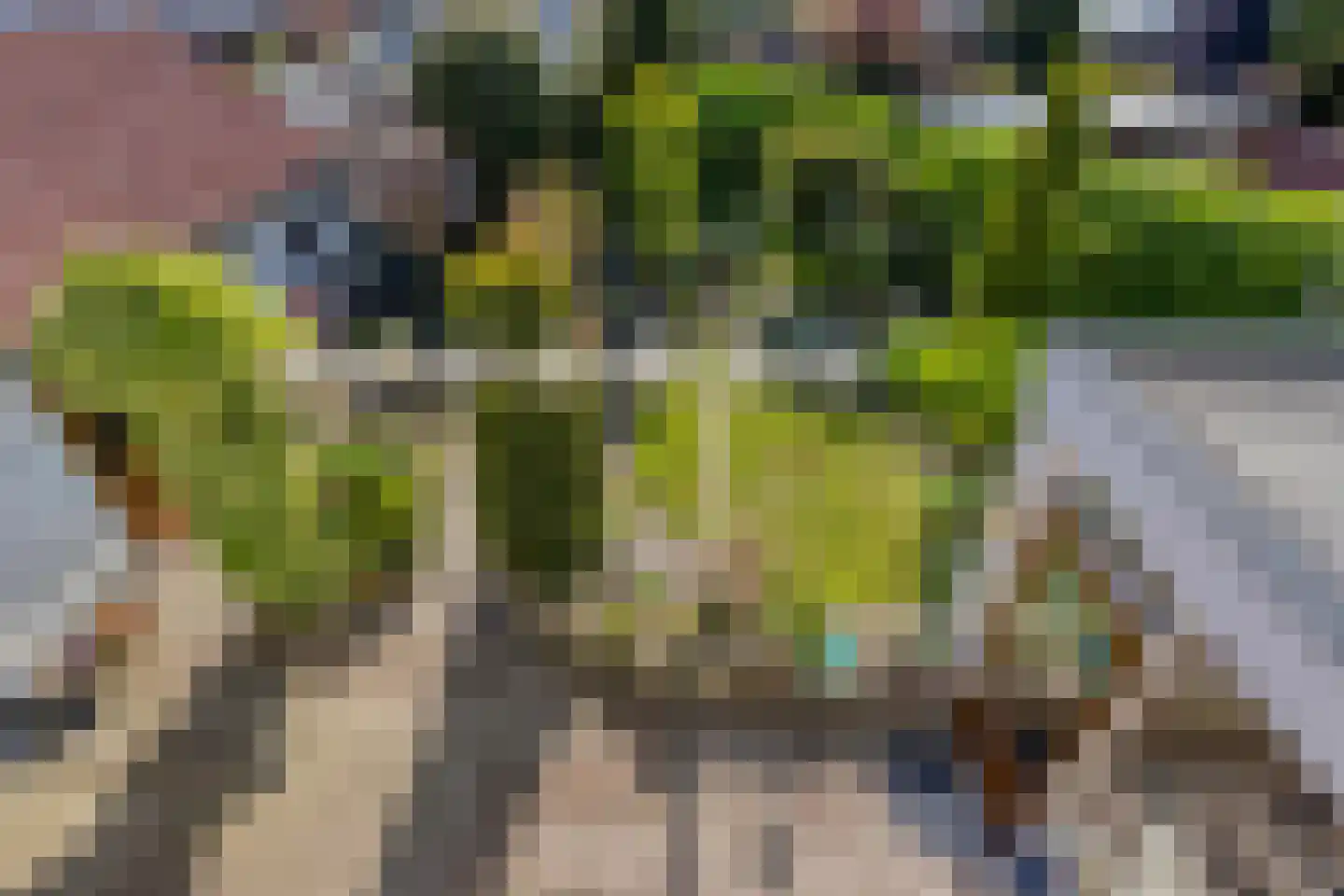 Vincent van Goghlaan 4 Beek en Donk thumbnail 39