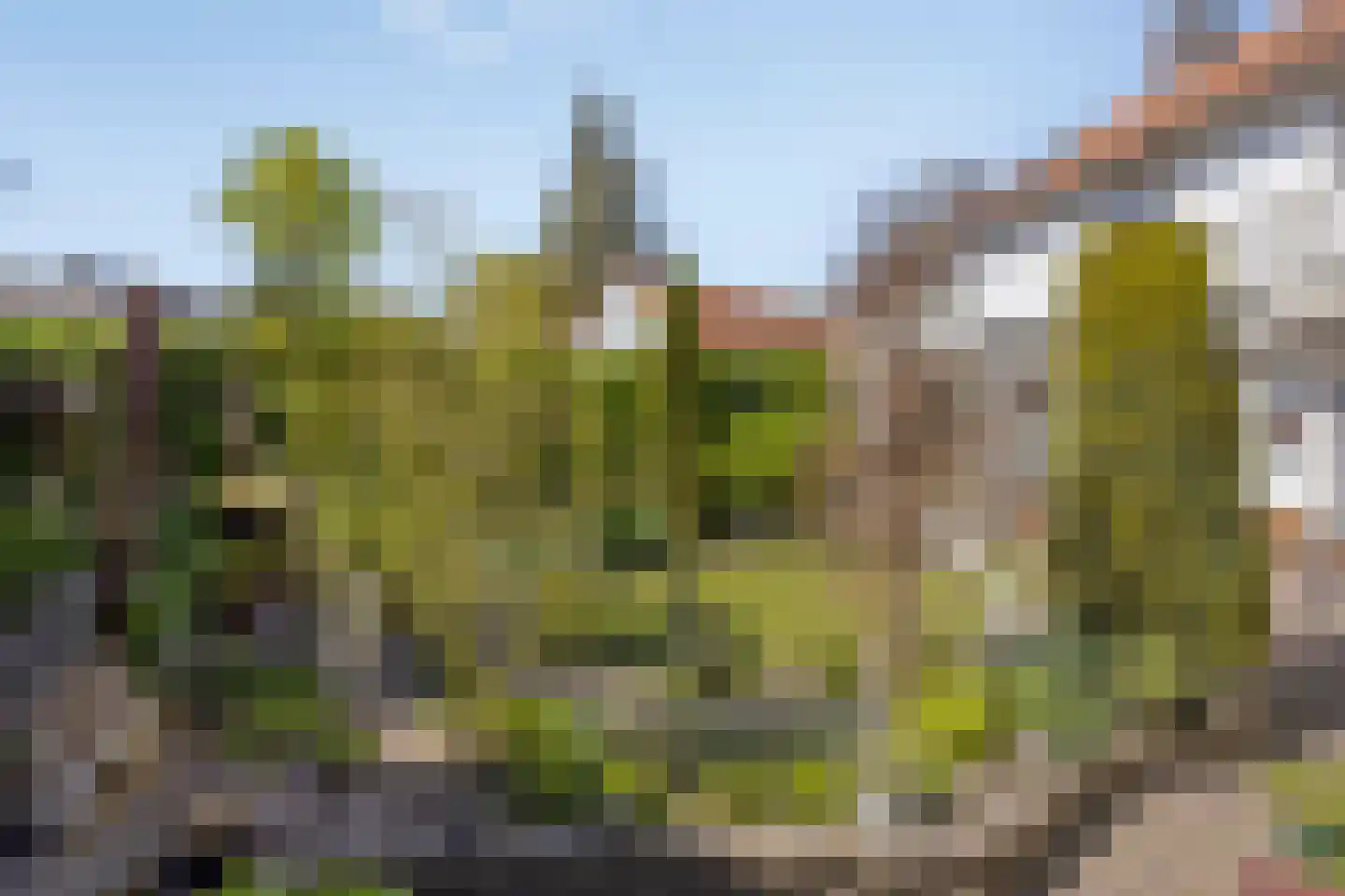 Vincent van Goghlaan 4 Beek en Donk thumbnail 4