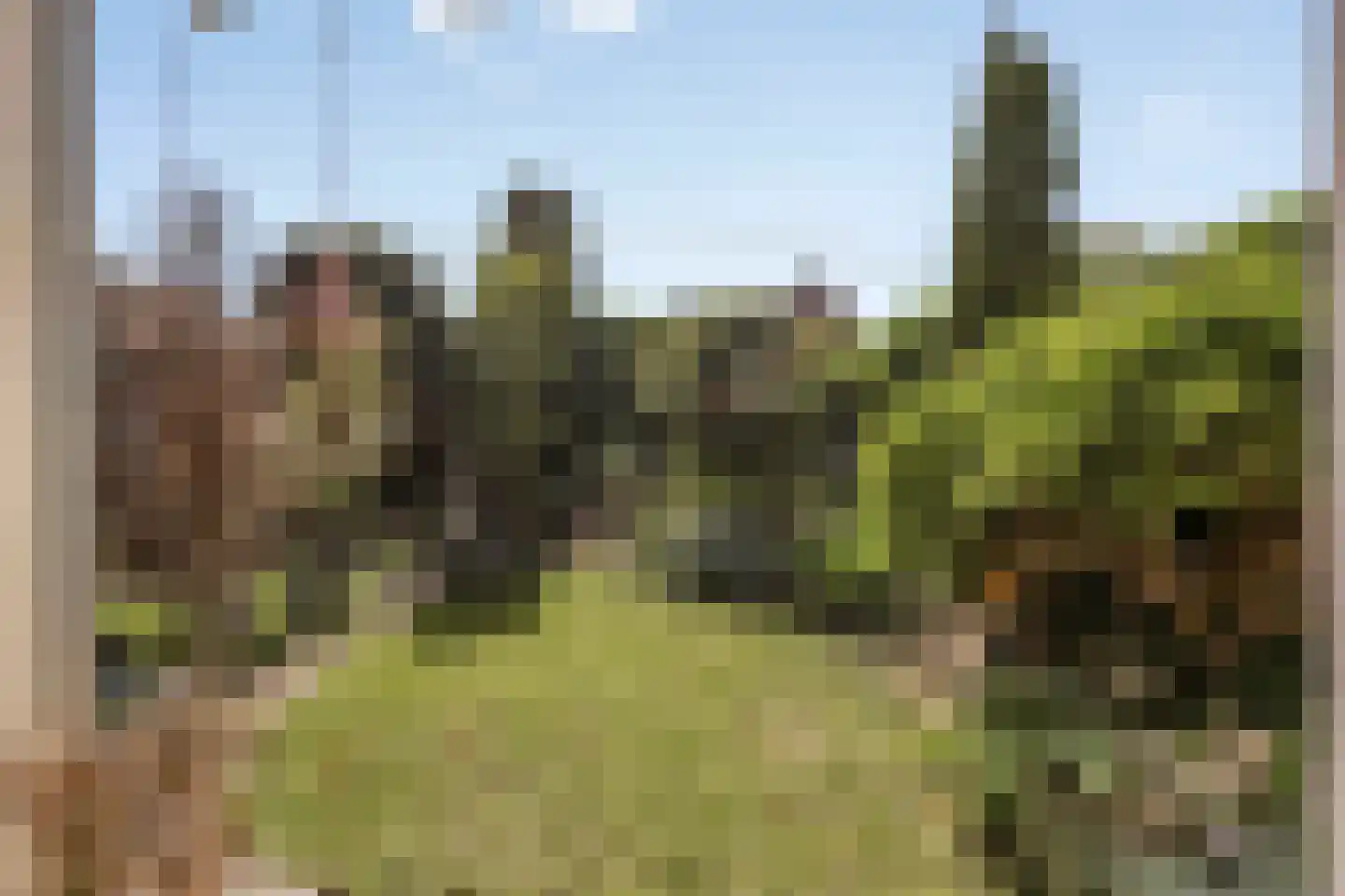 Vincent van Goghlaan 4 Beek en Donk thumbnail 44