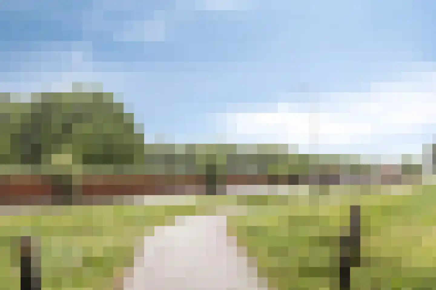 Vincent van Goghlaan 4 Beek en Donk thumbnail 9