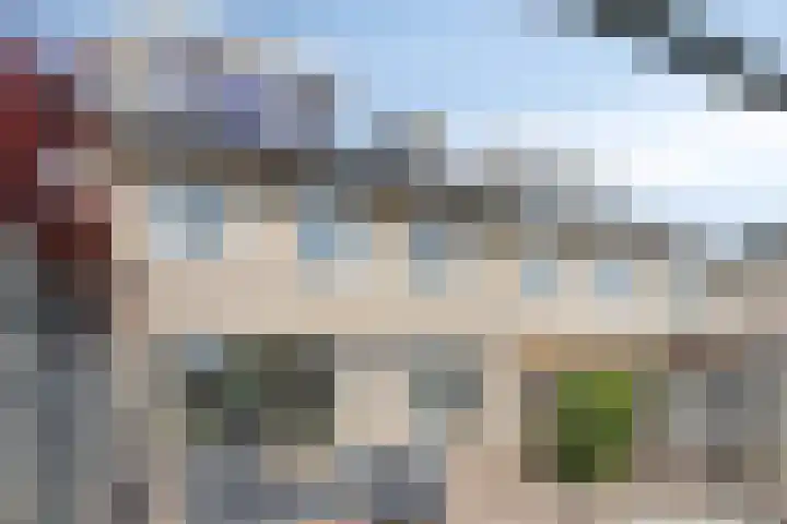 Vincent van Goghlaan 4 Berkel-Enschot thumbnail 13