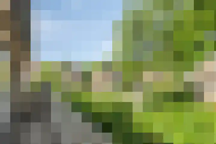 Vincent van Goghlaan 4 Berkel-Enschot thumbnail 21