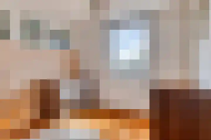 Vincent van Goghlaan 4 Berkel-Enschot thumbnail 24