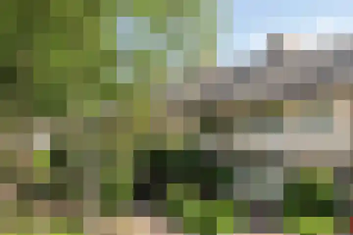Vincent van Goghlaan 4 Berkel-Enschot thumbnail 34