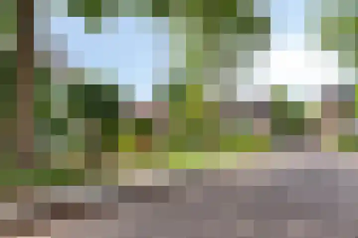 Vincent van Goghlaan 4 Berkel-Enschot thumbnail 35