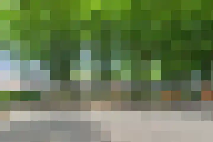 Vincent van Goghlaan 4 Berkel-Enschot thumbnail 36