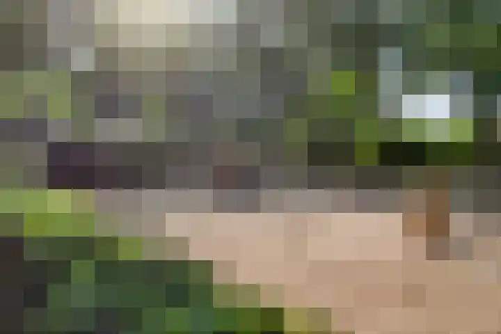 Vincent van Goghlaan 4 Berkel-Enschot thumbnail 37