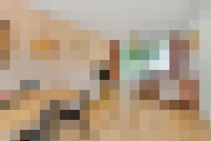 Vincent van Goghlaan 4 Berkel-Enschot thumbnail 7
