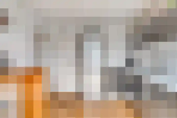 Vincent van Goghlaan 4 Berkel-Enschot thumbnail 9