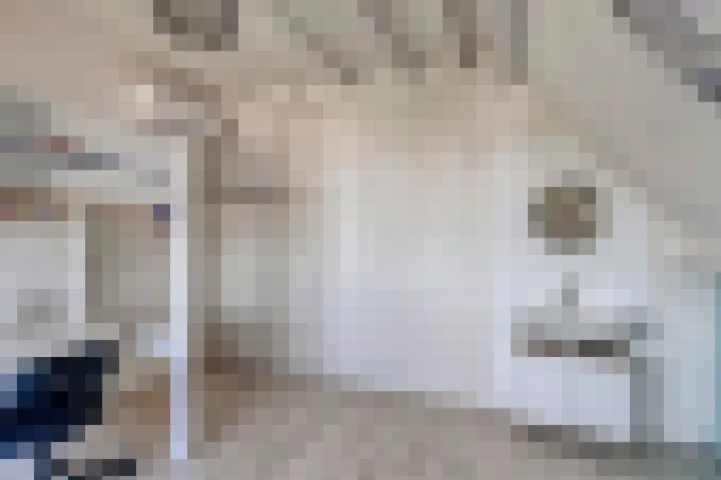Vincent van Goghlaan 40 Rosmalen thumbnail 33