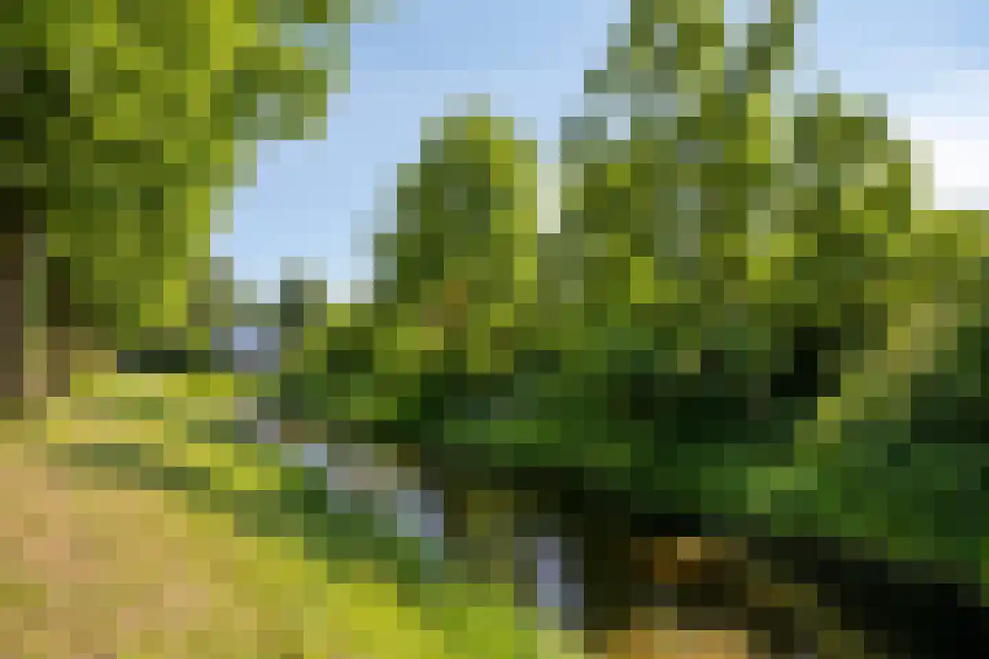 Vincent van Goghlaan 40 Rosmalen thumbnail 36