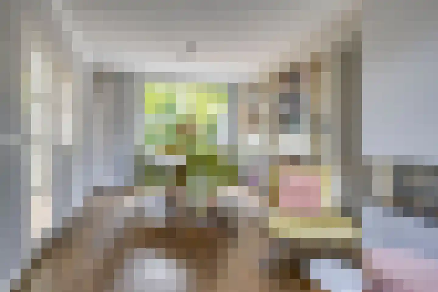 Vincent van Goghlaan 40 Rosmalen thumbnail 7