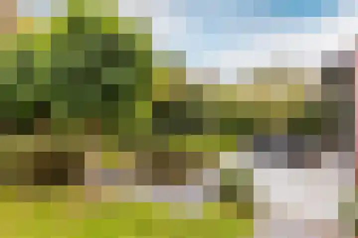 Vincent van Goghlaan 40 Waalwijk thumbnail 35