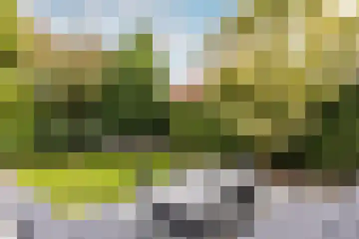 Vincent van Goghlaan 40 Waalwijk thumbnail 36