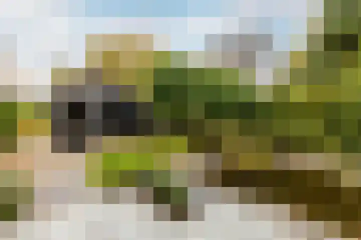 Vincent van Goghlaan 40 Waalwijk thumbnail 37