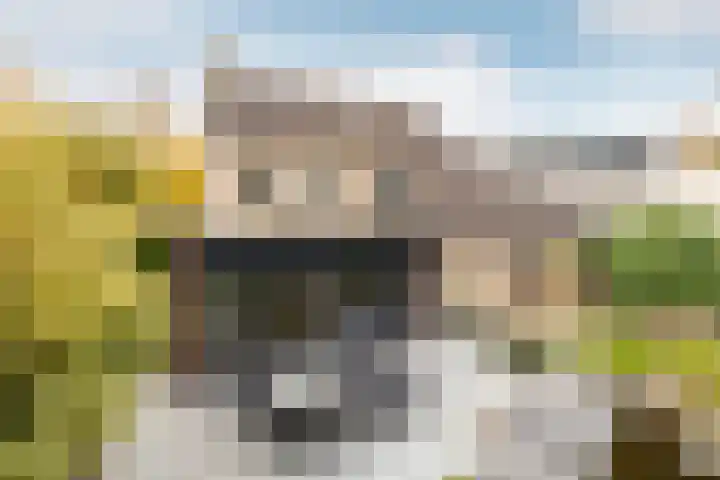 Vincent van Goghlaan 40 Waalwijk thumbnail 38