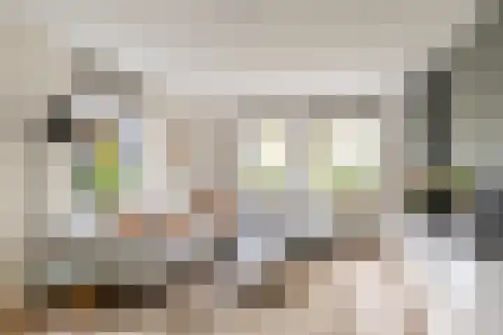 Vincent van Goghlaan 40 Waalwijk thumbnail 4